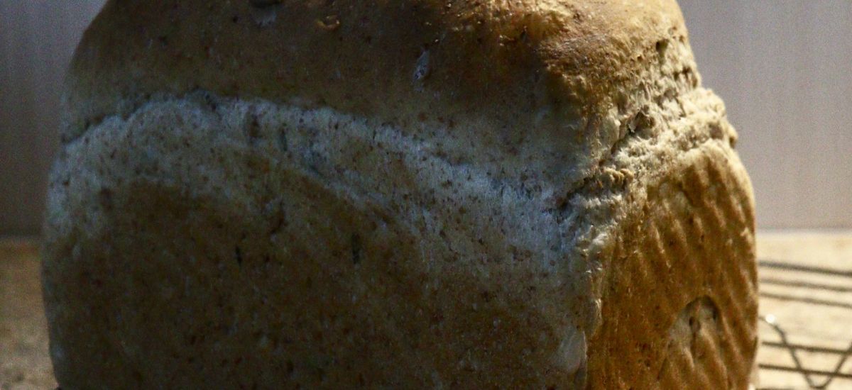 Beautiful Soft Seeded Wholemeal Sandwich Loaf